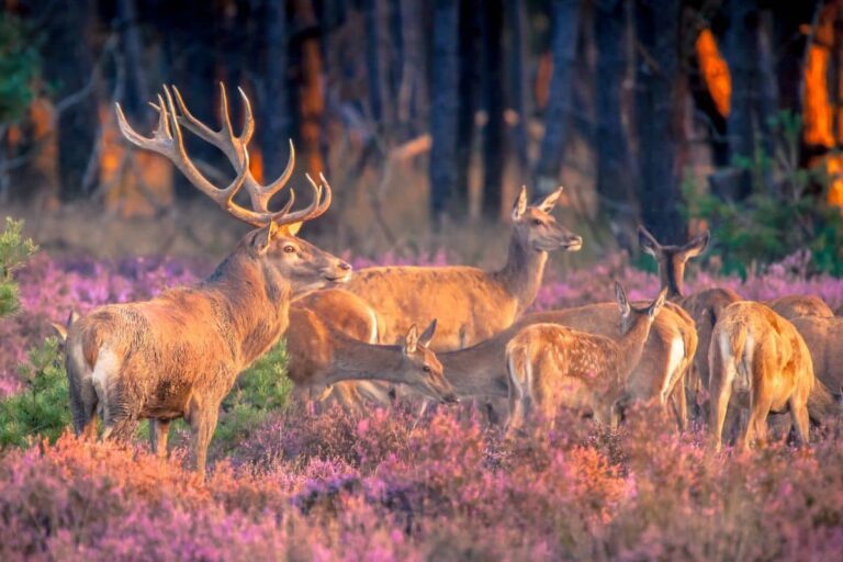 xr:d:DAE5x-1-2Qc:3694,j:4263052601986838654,t:23070509